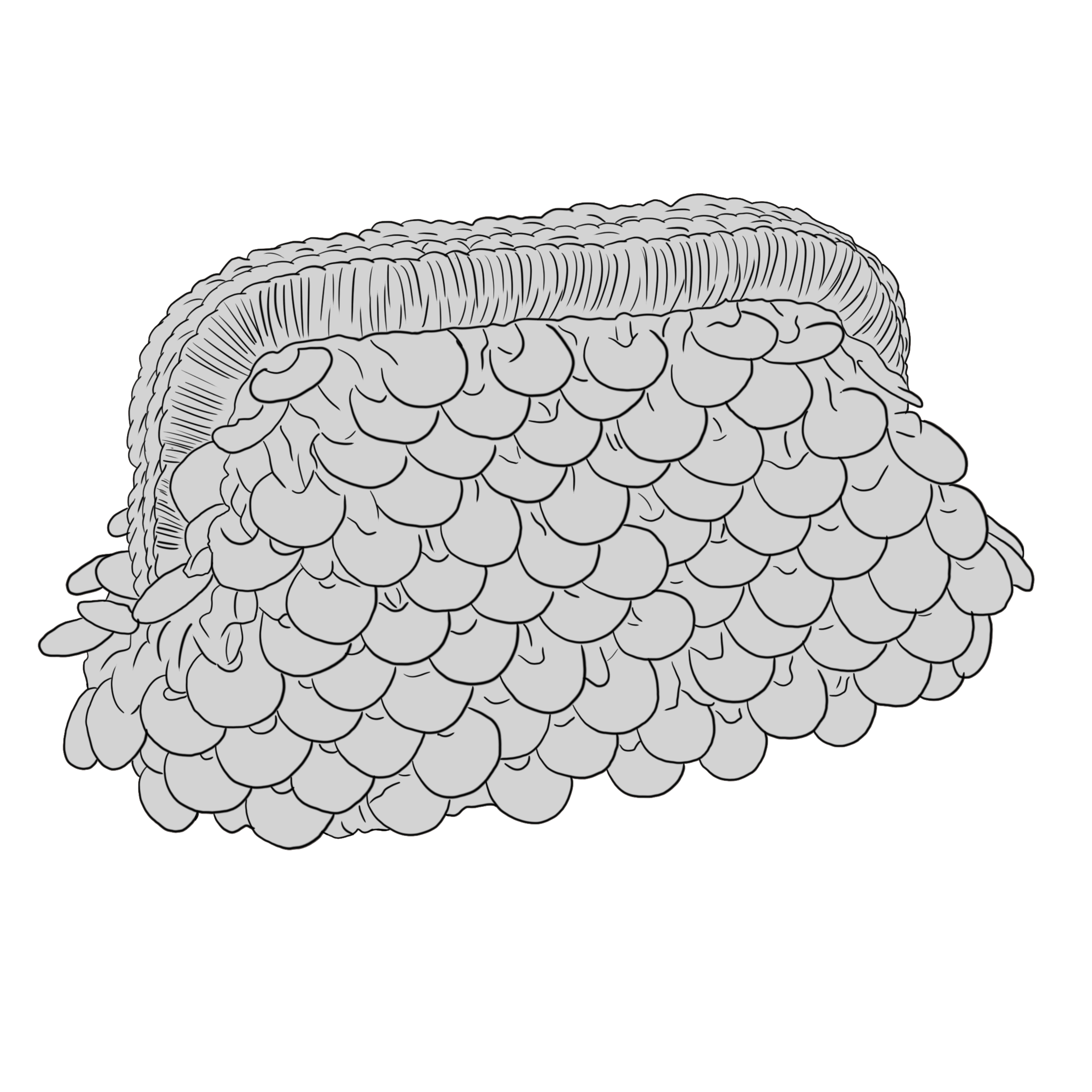 Lustria