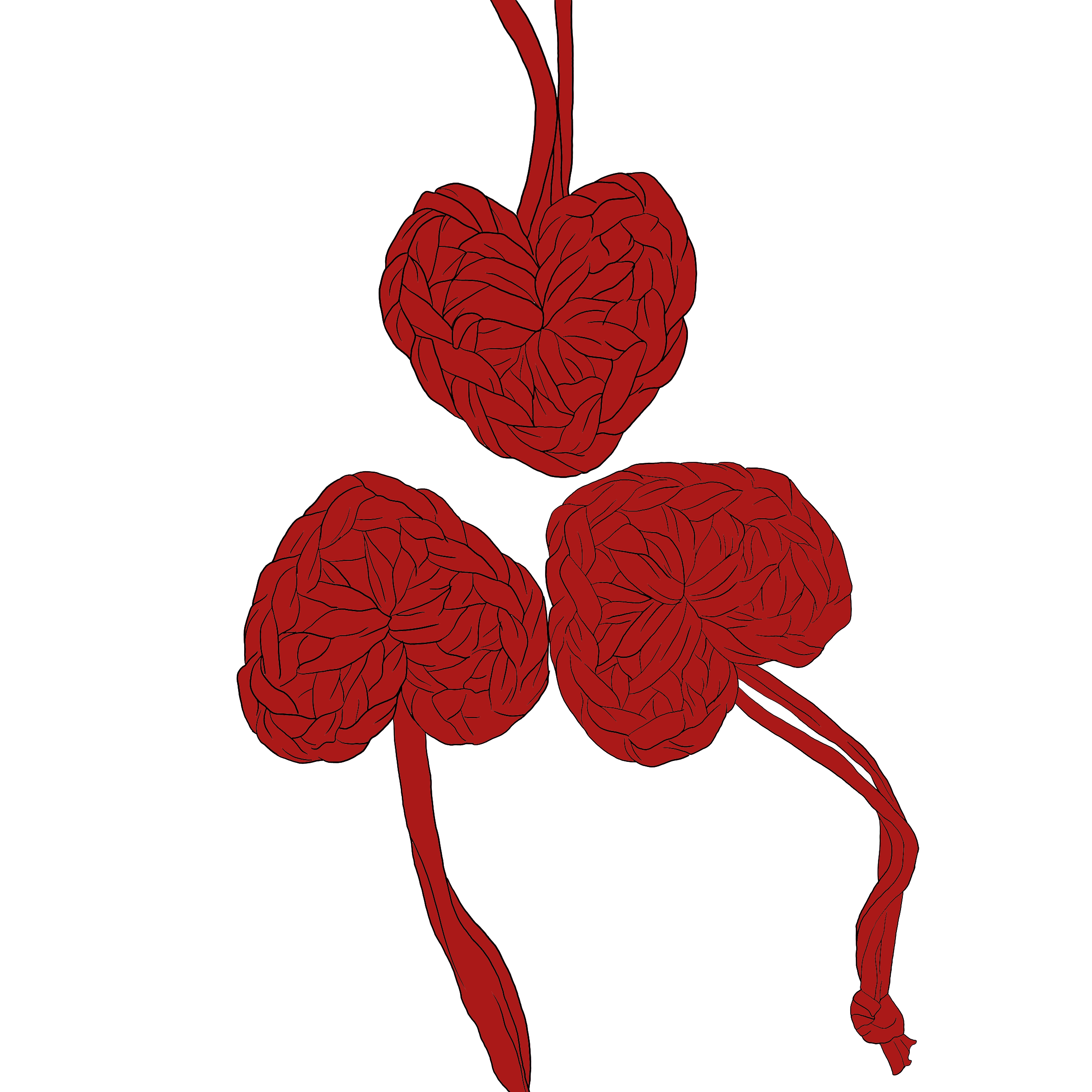 Cuore