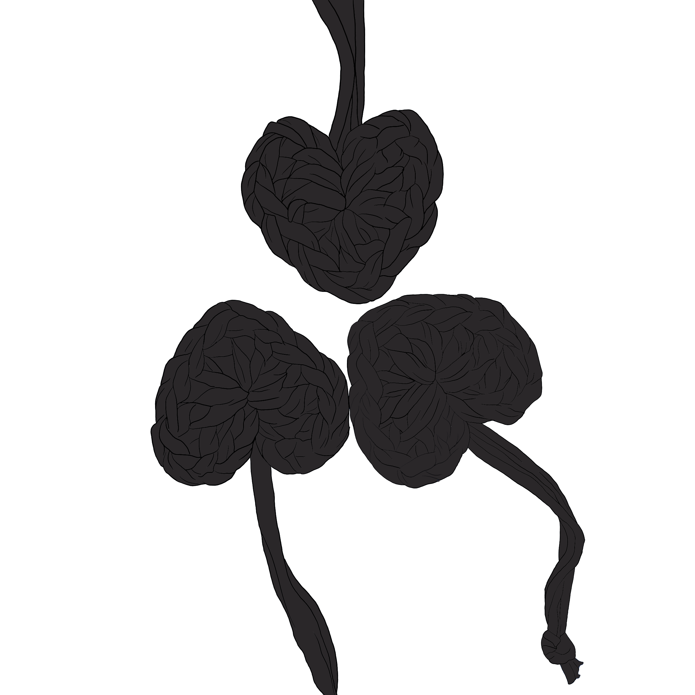 Cuore
